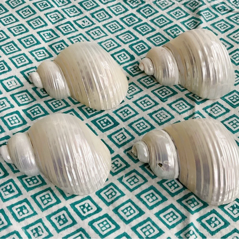 Vintage Shell Napkin Rings Set of 4 Coastal Beach Decor 1970s Seashell